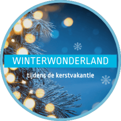Zwembad-de-koploper-zwemmen-flevoland-kerstvakantie-uitje-kinderen-winterwonderland-3.png