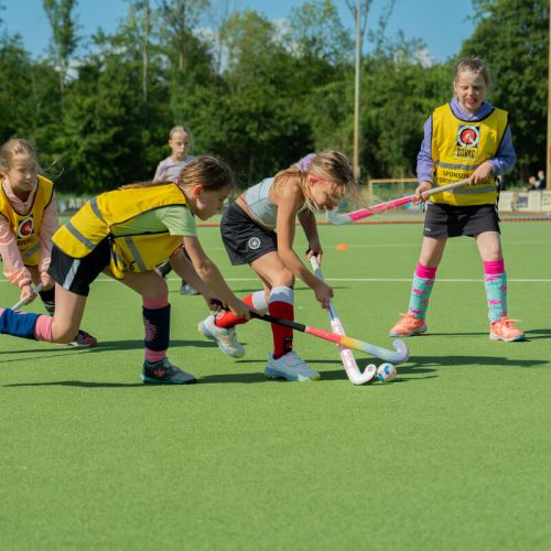 Sport voor Lelystad