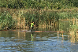 image00011.jpeg
